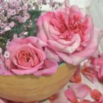 PINK VOLUPTIA ®