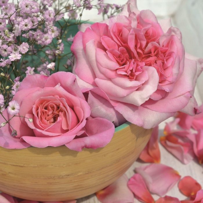 PINK VOLUPTIA ®